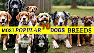 most popular dog breeds names🐕 popular dog breeds names dog breeds namesdog breeds [upl. by Chaves]