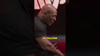 Mike Tysons Falcon vs Jake Pauls Pigeon boxing miketyson jakepaulvsmiketyson [upl. by Yonatan418]