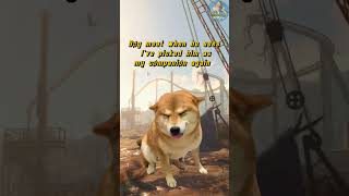 Choosing dogmeat as your companion fallout4memes gaming fallout76 funny falloutnewvegasmemes [upl. by Eetse379]