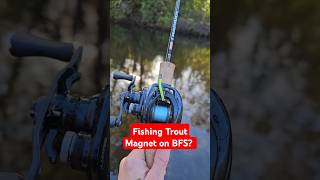 Fishing Trout Magnet on BFS Catches BIG Trout fishing [upl. by Love]