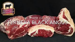 Despiece de una ternera Black Angus [upl. by Nahaj]