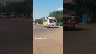 OM PALANI VEL MURUGAN BUS MADURAI 🔁SIVAKASI [upl. by Aramen39]