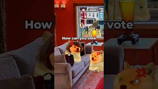 lil doges argue about voting [upl. by Lightfoot]