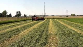 IH 1456 restored mowing hay [upl. by Leamhsi]