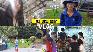 vlog  오클랜드 이사 후 아이 학교 전학 워킹맘 이민 생활 [upl. by Suneya]