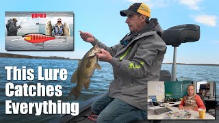 The Amazing Rapala Shad Rap Elite With James Lindner [upl. by Hittel]