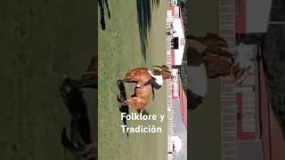 Tremendo elMatrero de Aldas con Elias Frachia caballos domadordecaballos [upl. by Faulkner]