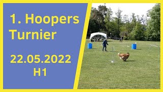 Unser allererstes Hoopers Turnier in Herrenberg am 22052022 I H1 Parcours mit 3 Läufen I NADAC [upl. by Hcahsem]