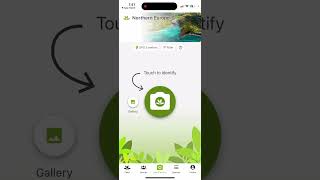 PlantNet app  how to use [upl. by Inoliel]