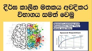 Spaced repetition memory technique  Sinhala Educational Study tips Sl notes [upl. by Mcdermott]