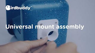 HowTo Universal Pole Mount – Bird Buddy Tutorial [upl. by Maxy]