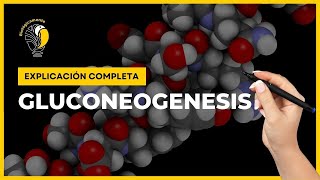 👉 Todo sobre la GLUCONEOGENESIS Paso a paso [upl. by Publus]