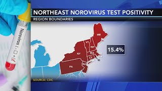 Contagious stomach bug circulating in the Northeast  Know the symptoms [upl. by Yenffit]