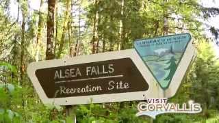 Seven Wonders of Corvallis Alsea Falls [upl. by Hafeenah78]