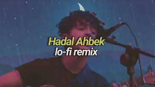 Issam Alnajjar  Hadal Ahbek Lofi Remix [upl. by Gleason146]