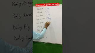 👉 Names of Baby Animals 🤔  animalsbaby calf joey kid fawn shorts ytshorts ytshorts [upl. by Adlih888]