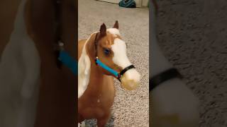 Wheres the ice cream Breyer horse video horse funny breyer [upl. by Arad212]