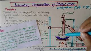 Laboratory Preparation of diethyl EtherEthoxyethane [upl. by Harat]