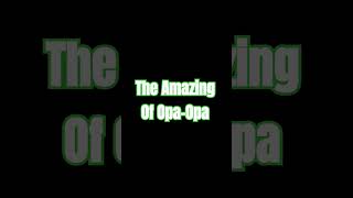 The Amazing Of OpaOpa Season 4  Soundtrack  Ending  SEGA Record Channel [upl. by Killoran]