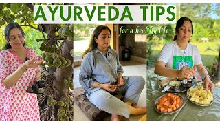 AYURVEDA tips for daily life from an Ayurvedic DOCTOR  Health tips for women [upl. by Fried]