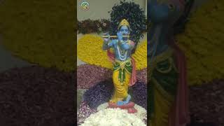 Achyutam Keshavam Krishna Damodaram Ram Narayanam Jaanaki Vallabham song GodKrishnaViraltrending [upl. by Onifur]