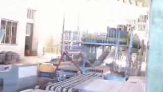 Automatic extruder clay brick machine in india plant line [upl. by Airlie294]