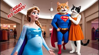 Elsa Catches Orange Cat Superman Shopping with His Girlfriend [upl. by Yelrac]