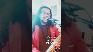 එපා සඳේ Epa sande obe sina saxophone saxcover [upl. by Heinrick]