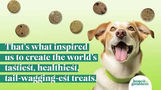 Honest To Goodness Plant Snacks For Dogs dogtreats plantbased dogfood [upl. by Ploch]