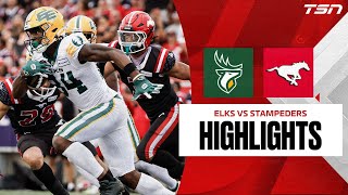 Edmonton Elks vs Calgary Stampeders  CFL HIGHLIGHTS [upl. by Thorlay]