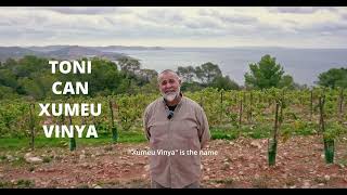 Un viticultor en Ibiza Xumeu Vinya y el vino de la isla [upl. by Kirsten]