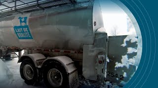 La tempête force un producteur à jeter 4300 litres de lait [upl. by Chenay]