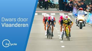 Dwars door Vlaanderen 2019  Mens Highlights  inCycle [upl. by Anawek733]