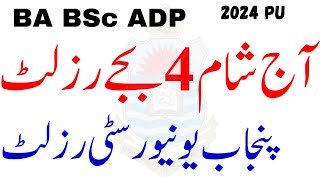 PU Today Result 4 PM ADA ADS ADP BA BSc Exams 2024  Adp result 2024 pu  Ada Ads Result PU 2024 [upl. by Murdock]