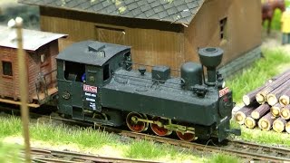 Die Präsentation der Modelleisenbahn Friedländer Bezirksbahn [upl. by Ellerret802]