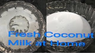 How to make Coconut Milk at Home  Health Benefits of Coconut Milk [upl. by Norling461]