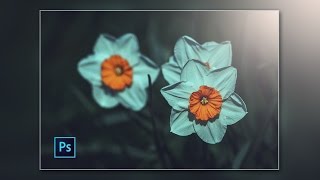 Photoshop cc Tutorial Vintage Photo Effect Flower [upl. by Ernest]