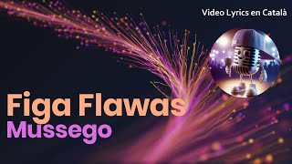 Figa Flawas  Mussego Video Lyrics [upl. by Ain756]