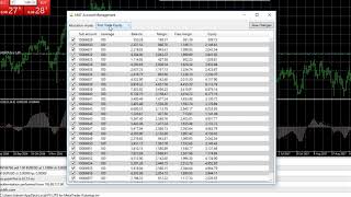 How work in metatrader 4 with multi account by TTFX [upl. by Refynnej595]