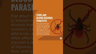 Ticks in Pets  Merck Veterinary Manual [upl. by Ecylahs823]