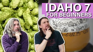 What is the Idaho 7 hop and what does it do [upl. by Birdt]