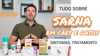 62  TIPOS DE SARNA EM CACHORRO E GATO  SINTOMAS E TRATAMENTO [upl. by Mahala]