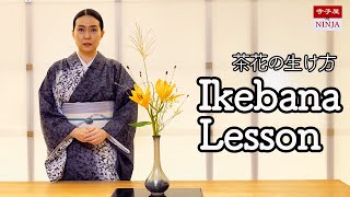 茶花の生け方（茶花の入れ方）と薄板の使い方／籠花入れの生け方／千利休の利休百首 茶道の基本 生け花入門 [upl. by Rissa266]