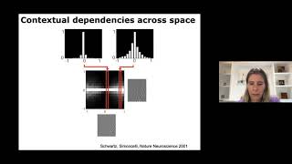 CVR seminar Odelia Schwartz 12112020 [upl. by Topliffe]