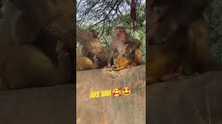 ARE VAH ARE VAH ARE VAH VAH VAH VAH 🤩 youtubeshorts jaishreeshyam viralvideo funny funny 🤩 [upl. by Fortunna272]