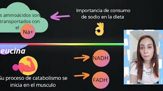 La Leucina  Metabolismo de las Proteínas [upl. by Amak]