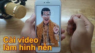 Cách cài video làm hình nền trên điện thoại [upl. by Adrial758]