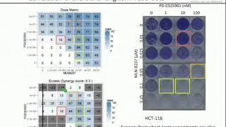 Webinar Drugdrug combinations made simple [upl. by Arbba]