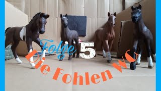 Fohlen WG Folge 5 [upl. by Ahsikat]