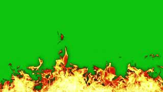 Fire Green  Blue  Black Screen Video Effect HD Footage Free Download [upl. by Richara]